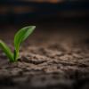 The Secret Strength in Seeing Weakness Resilient Conference